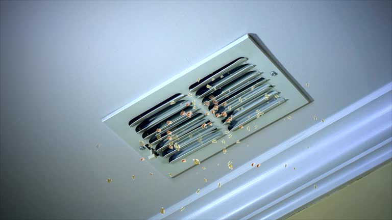 Best Residential Air Duct Cleaning  in Stuarts Draft, VA